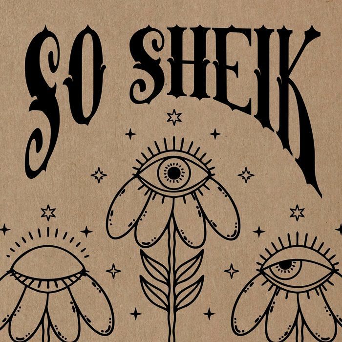 DJ 3000 - So Sheik