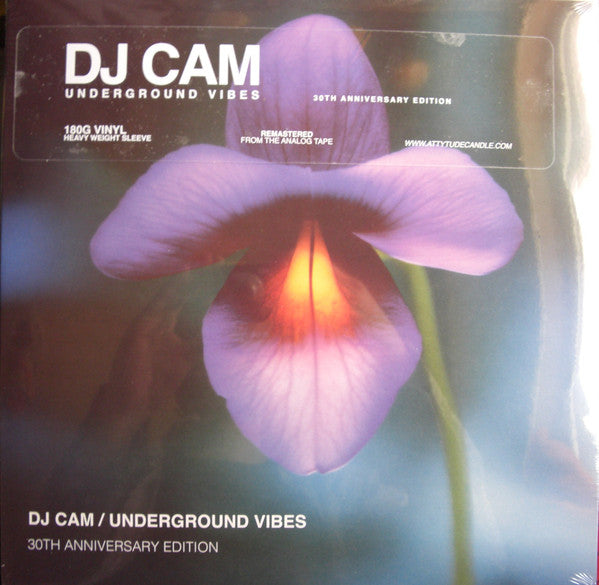 DJ Cam – Underground Vibes (30th Anniversary Edition)