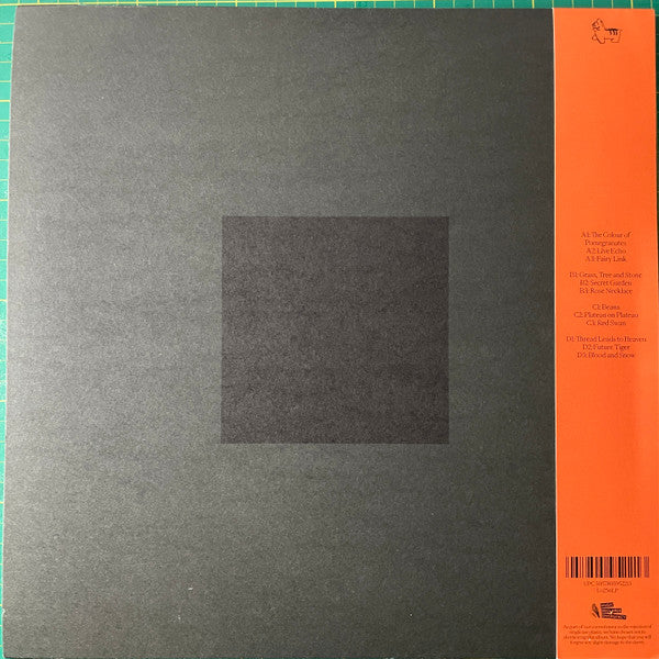 Susumu Yokota – The Boy And The Tree