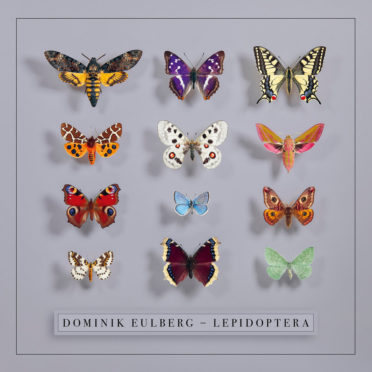 Dominik Eulberg – Lepidoptera