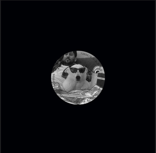 Robert Crash-Julia's dog is watching you