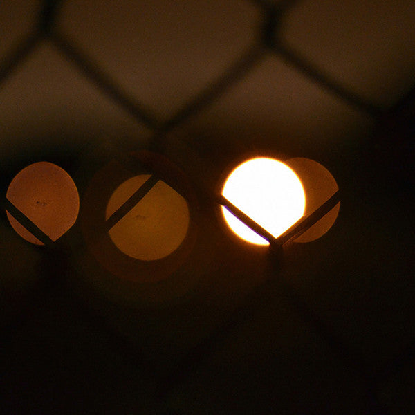 Fluxion-Vibrant Forms