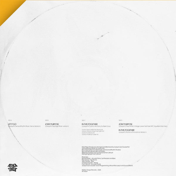 Patrick Gibin-Let It Go / Joint Purpose / In This Together (The Joaquin Joe Claussell Remixes)