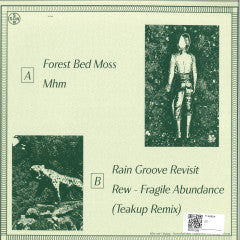 Teakup - Forest Bed Moss