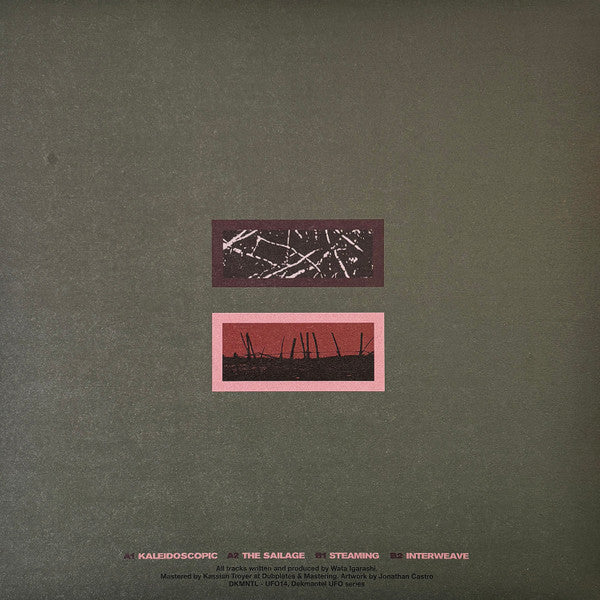 Wata Igarashi-Kaleidoscopic