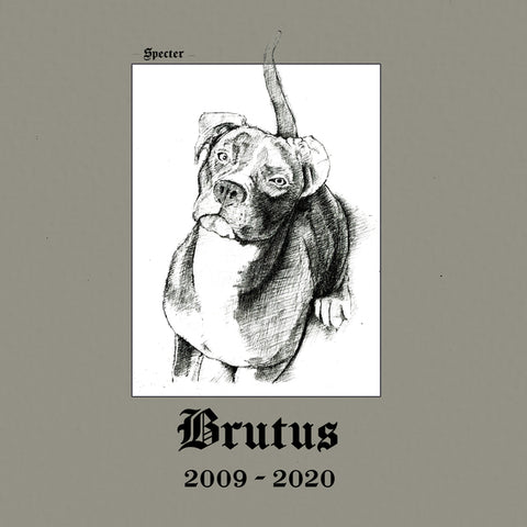 Specter-Brutus