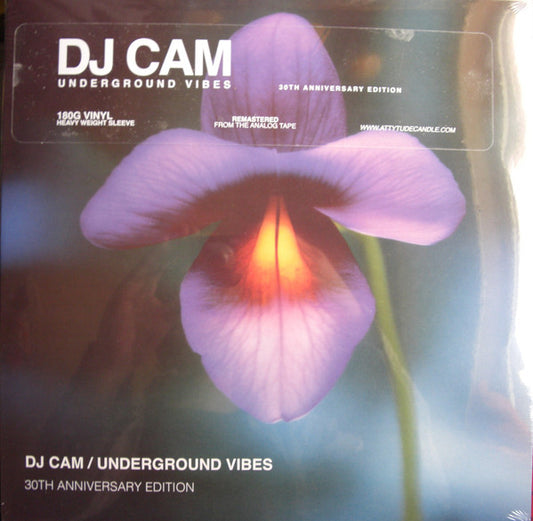 DJ Cam – Underground Vibes (30th Anniversary Edition)
