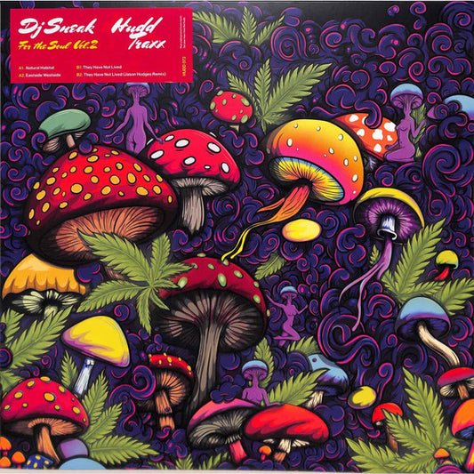 DJ Sneak-For The Soul Vol. 2