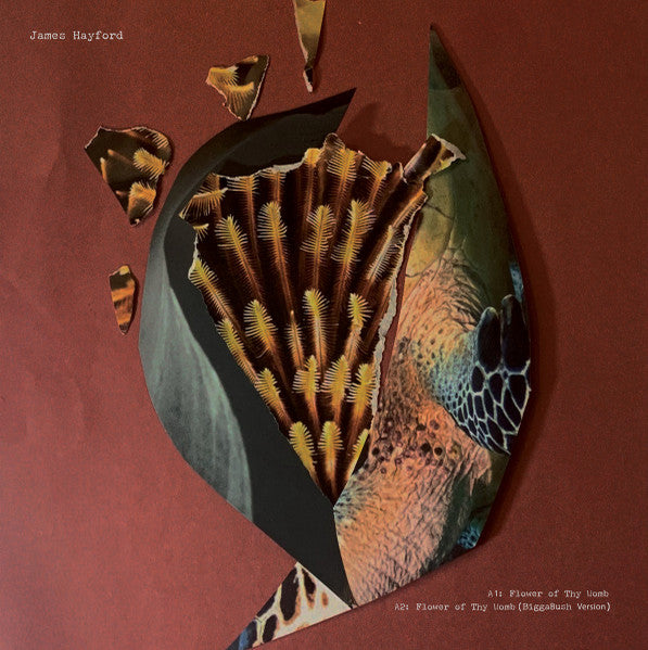 James Hayford / Bigga Bush-Split EP