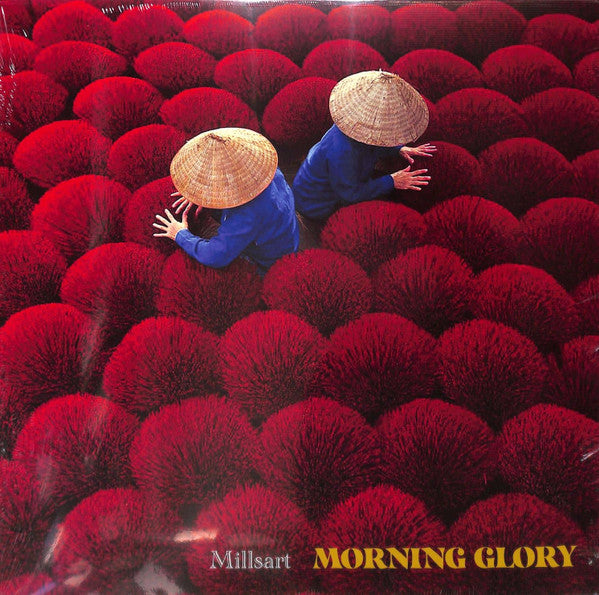 Millsart-Morning Glory