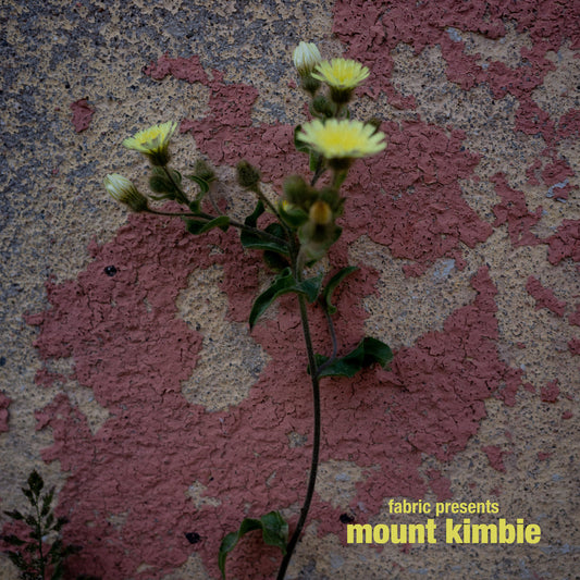 Mount Kimbie – Fabric Presents Mount Kimbie
