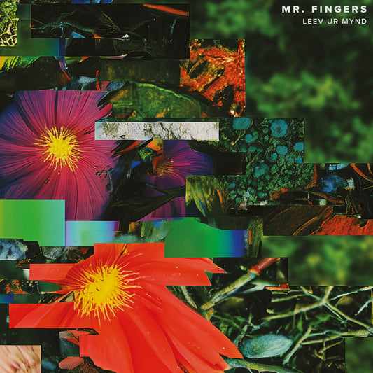 Mr. Fingers-Leev Ur Mynd