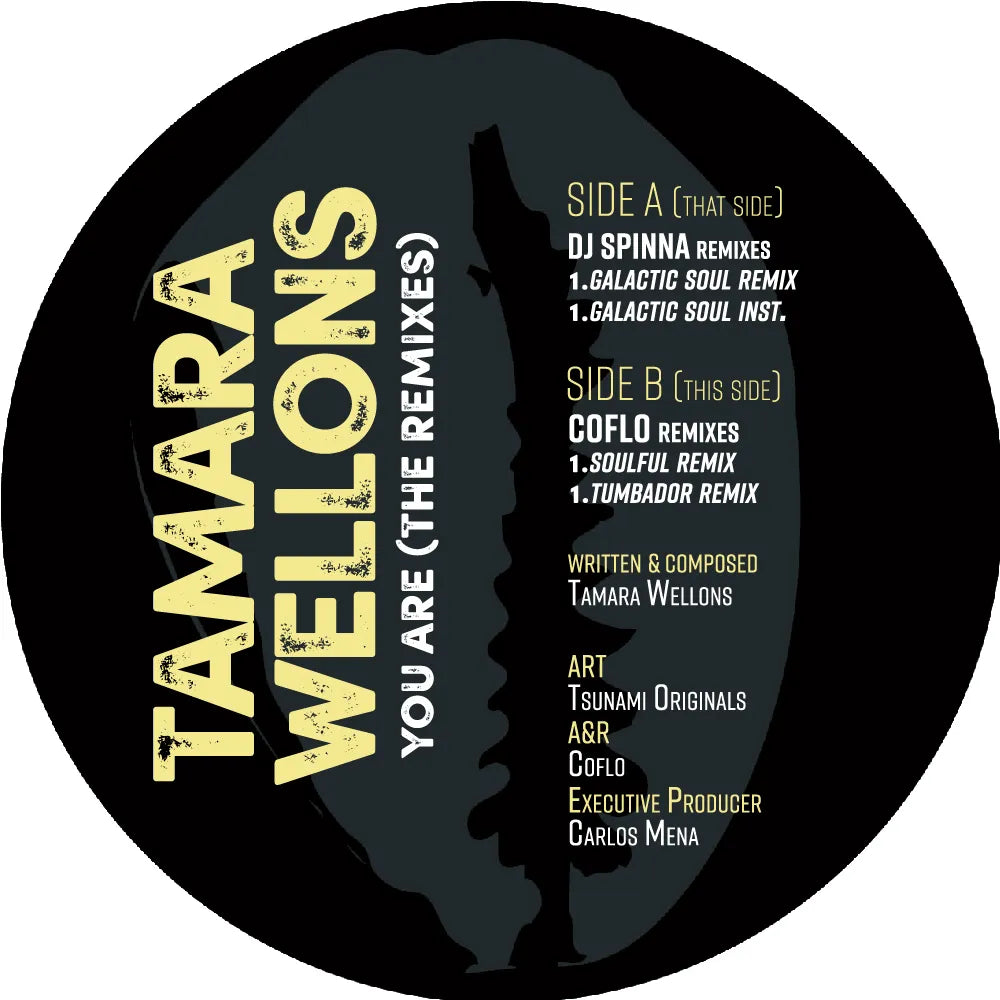 Tamara Wellons-You Are (Dj Spinna / Coflo Remixes)