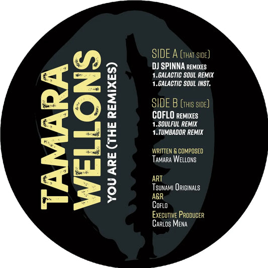 Tamara Wellons-You Are (Dj Spinna / Coflo Remixes)