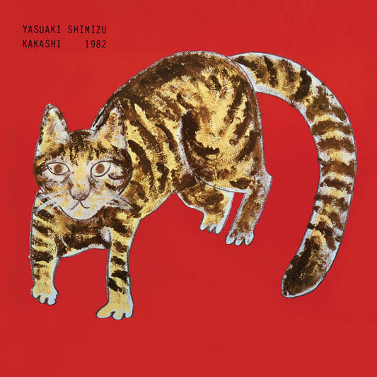 Yasuaki Shimizu-Kakashi