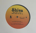 Shiva-What Does It Take / Never Gonna Give You Up