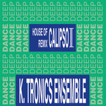 K. Tronics Ensemble-House Of Calypso II Remix