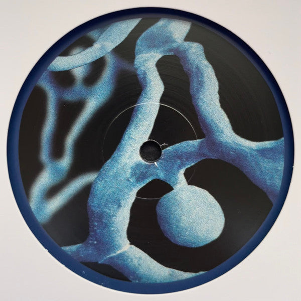 Oye Manny – Living Water