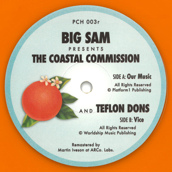 Big Sam Presents The Coastal Commission And Teflon Dons - Our Music / Vice