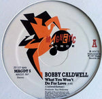 Bobby Caldwell-What You Won't Do For Love