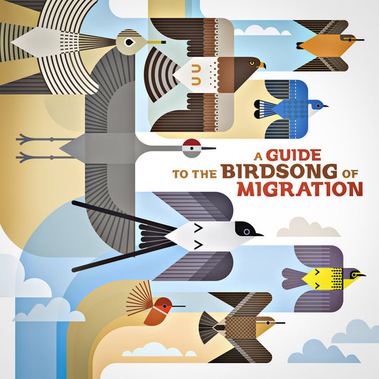 Various-A Guide To The Birdsong Of Migration