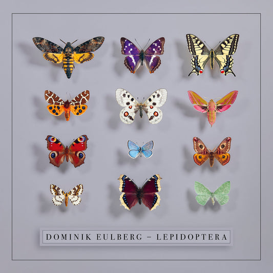 Dominik Eulberg – Lepidoptera