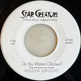 Hidden Groove-Do You Wanna Groove? / Funkin All The Time