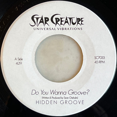 Hidden Groove-Do You Wanna Groove? / Funkin All The Time