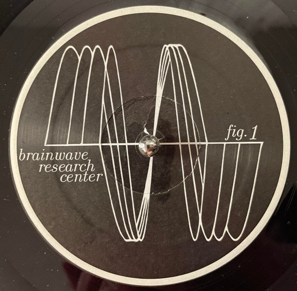 Brainwave Research Center-Figure 1