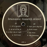 Brainwave Research Center-Figure 1
