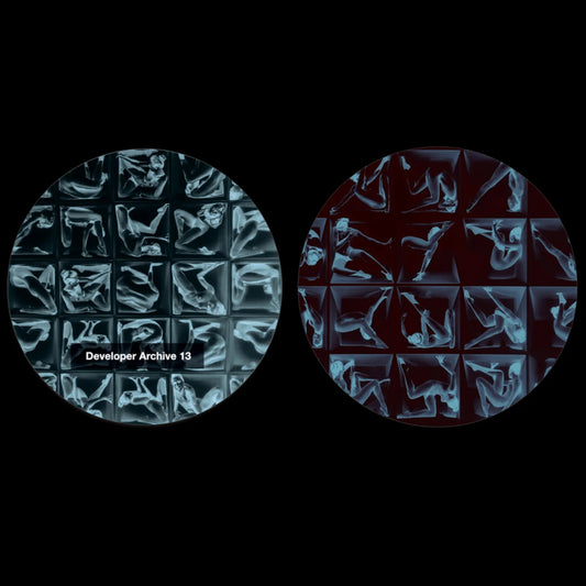 Developer-Archive 013