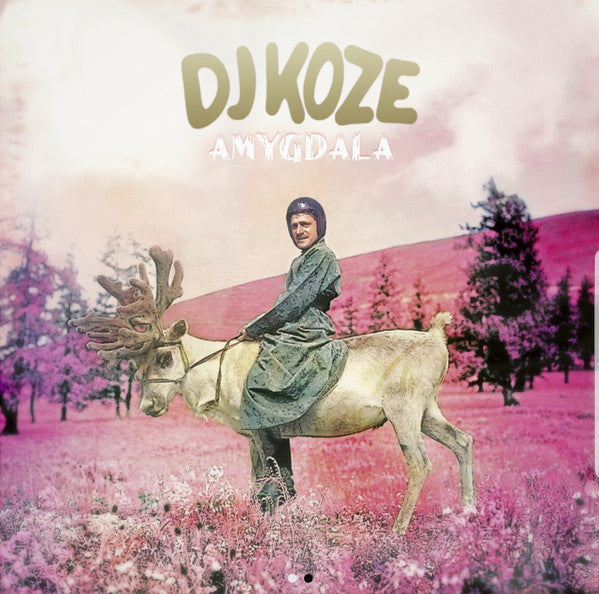 DJ Koze-Amygdala