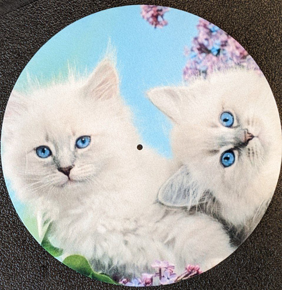 Kitten Slipmat